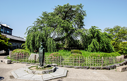 丸山公園